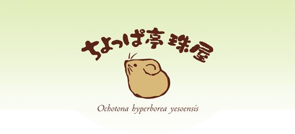 ちょっぱ亭 珠屋 - 宝石ルースとワイヤーワーク